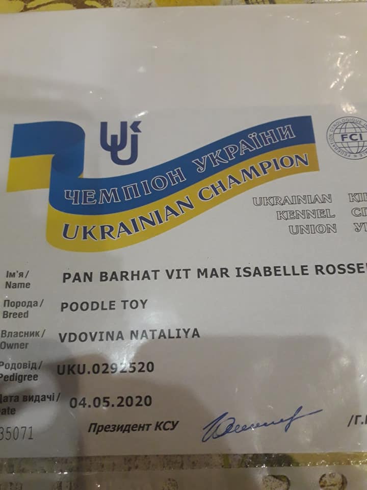 Ми чемпіони України 04.05.2020