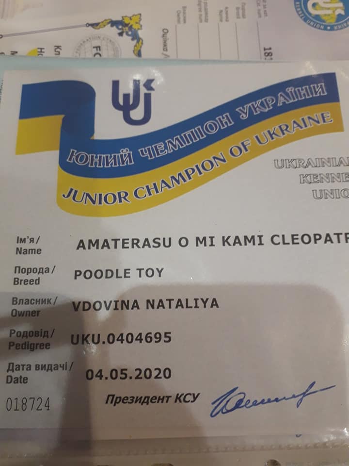 Наша юна чемпіонка 04.05.2020